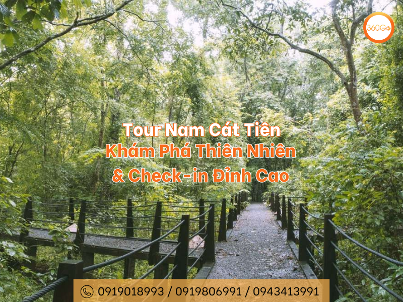 Tour Nam Cát Tiên: Khám Phá Thiên Nhiên & Check-in Đỉnh Cao