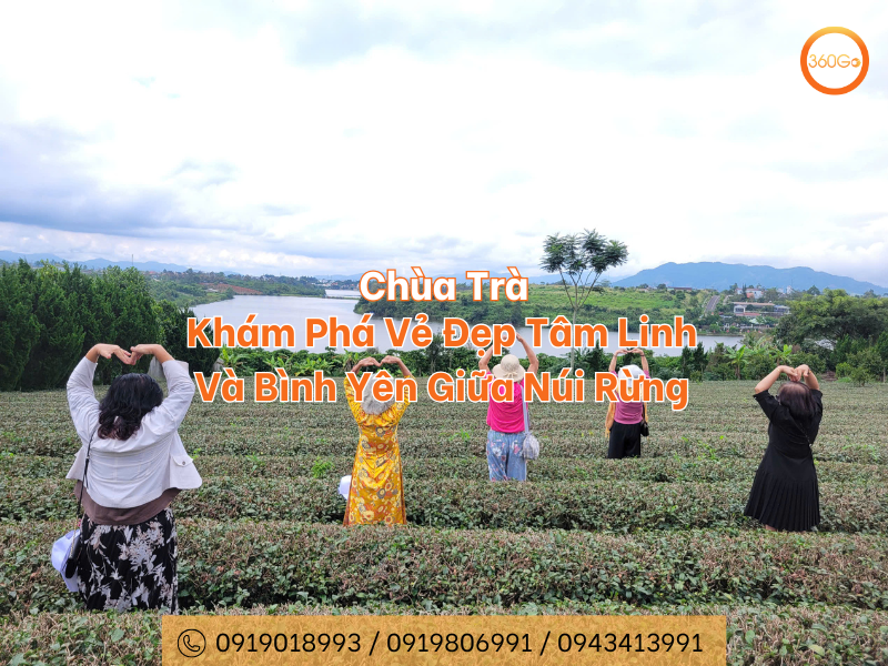 Chùa Trà: Khám Phá Vẻ Đẹp Tâm Linh Và Bình Yên Giữa Núi Rừng