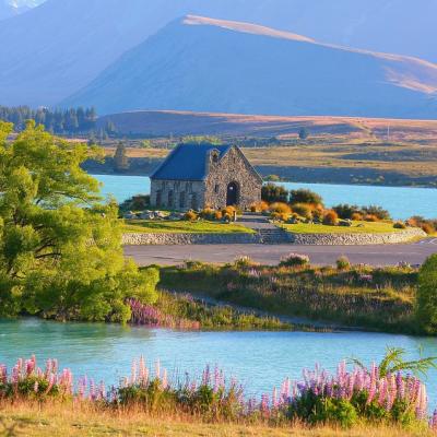 KHÁM PHÁ BẮC ĐẢO – NAM ĐẢO NEW ZEALAND 2025 - CHRISTCHURCH - QUEENSTOWN - FRANZ JOSEF- AUCKLAND - MATAMATA - ROTORUA – WAITOMO - 11N10Đ